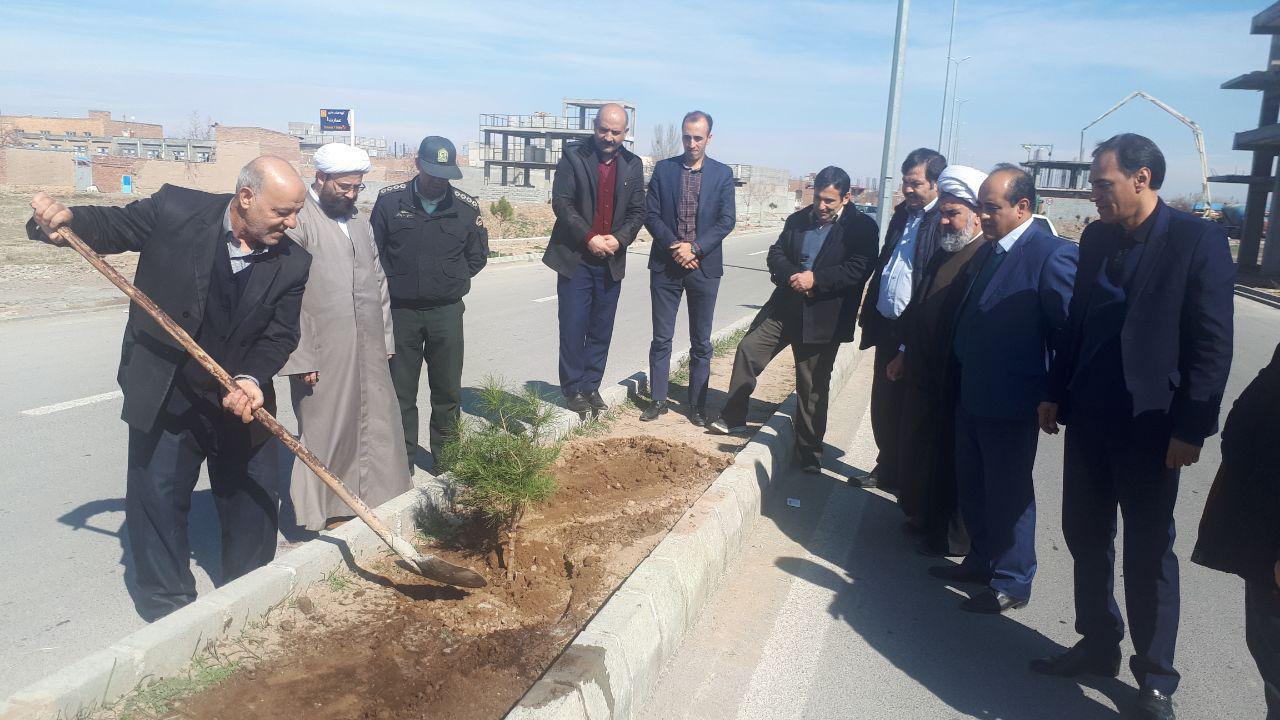 گالری تصاویر