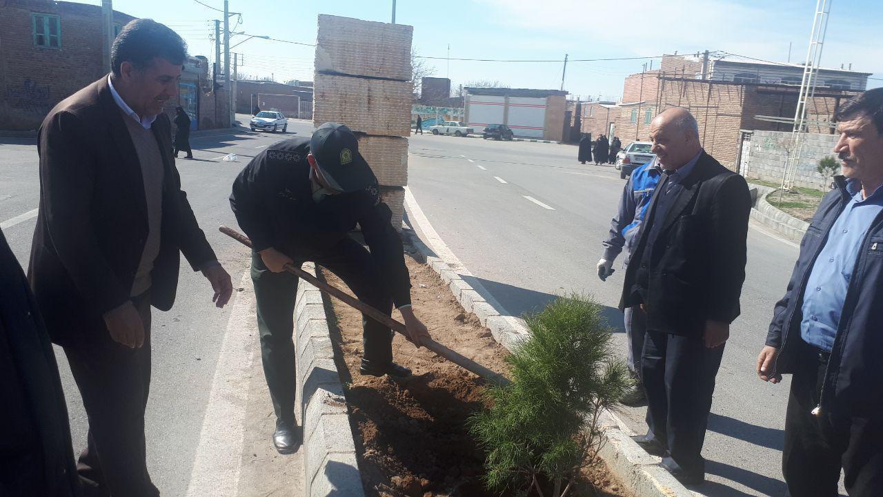 گالری تصاویر